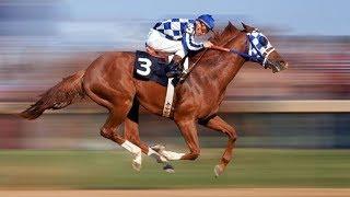 7 Razas De Caballos De Carrera Más Rápidos Del Mundo