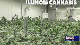 Illinois Cannabis Sales Top $10 Million in 5 Days