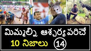 Top 10 Unknown Facts in Telugu | Interesting and Amazing Facts | Part 14 | Minute Stuff