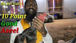 10 Point In Good Aseel