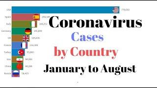 Top 10 Country by Total Coronavirus Cases  (January to August)