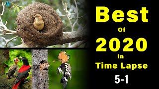 My Top 10 Of 2020 In Time Lapse (Best of 2020) Part One 5-1.