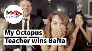 SA's 'My Octopus Teacher' wins best documentary BAFTA, now onto the Oscars