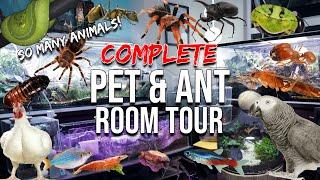 FULL ANT & PET TOUR | Millions of Ants, Tarantulas, Reptiles, Amphibians, Birds, Fish, Terrariums