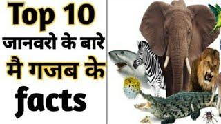 Top 10 Interesting Facts About Animal|Amazing Facts| Interesting Facts #shorts #short #youtubeshorts