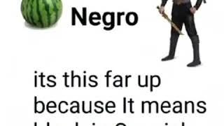 Top 10 words