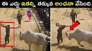 టాప్ 10 ఇంటరెస్టింగ్ facts | Top 10 interesting facts in telugu | Mr raja facts | Telugu facts