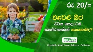 එළවළු බීජ ගෙදරටම ගෙන්වාගන්නේ කොහොමද? How to deliver Vegetable Seeds to your doorstep?