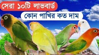 Top 10 love bird and price  top 14 love bird