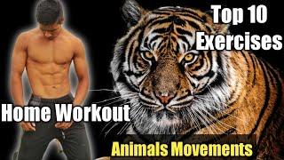 BEST Home Workout | Animal Movements /Animal Flow Exercise | Top 10 Exercise(NO EQUIPMENT!)