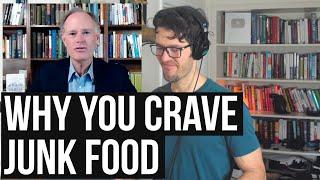 Crave & Binge Eat Junk Food (when you know you shouldn't)?  Neurologist Explains