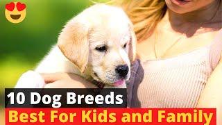 10 Best Dog Breeds for Kids and Families 