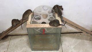 mouse traps from glass bottles / Best rice husk traps / Top water mouse trap