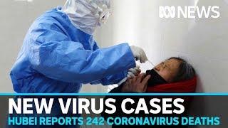 China's Hubei province reports 242 new coronavirus deaths and 14,840 new cases | ABC News