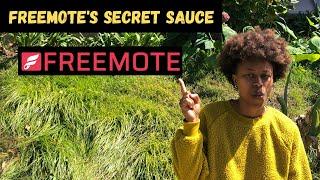 Freemote's Top 10 Secrets And Why You Should Buy It!