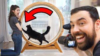 Making a Giant Hamster Wheel for our Cat