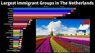 The Largest Immigrant Groups in The Netherlands by Country of Birth