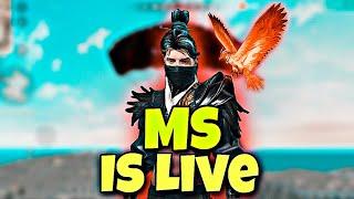 Free Fire Live On MS YT #11