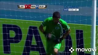 Top 6 Most Heroic Goalkeeper Goal Line Saves