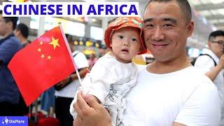 Top 10 African Countries With the Most Chinese Population