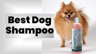 10 Best Dog Shampoo 2020 Review