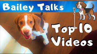 Top 10 Bailey Talks Videos (Part 1 | #10-6)