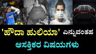 Top 10 Interesting Facts in Kannada | Unknown and Amazing Facts in Kannada |  by Anil Facts