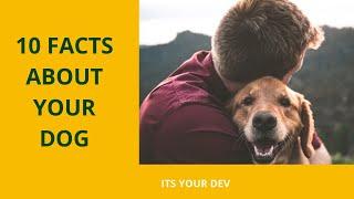 Top 10 facts about your Dogs | must watch this video if you are a dog lover 