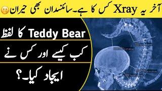 Most Amazing Facts in the World | Top 10 Facts in Urdu | World Fact tv