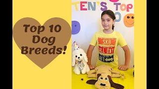 Ten's top 10 Dog Breeds!  Check it out!  Tibetan Mastiffs, Pugs...Big to small he's got quite a list