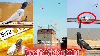 Asu Ki Top Parwaz ✔️