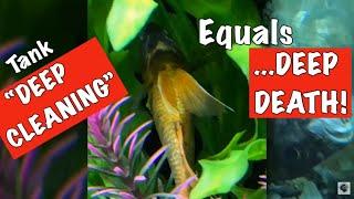 Aquarium Cleaning *THAT KILLS OUR FISH* - MAJOR Mistakes by MAJOR Youtubers! (Part 2 of 3)