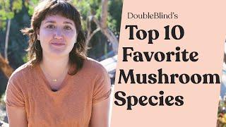 Top 10 Favorite Mushroom Species 