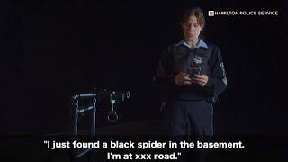 ‘I just found a black spider:’ Hamilton police release top 10 non-emergency 911 calls