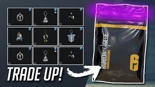 How Alpha Packs Should ACTUALLY Work!