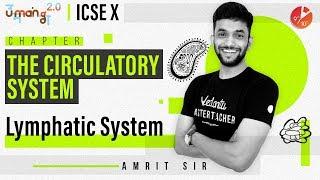 The Circulatory System L4 | Lymphatic System | ICSE Class 10 Biology | Umang Vedantu Class 10