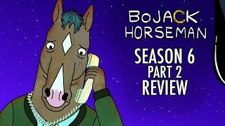 BoJack Horseman Season 6 is a PERFECT Ending (Final Review)