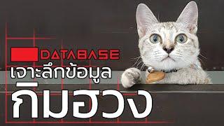 เจาะลึกข้อมูล กิมฮวง [The Game Room] Database