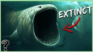 Top 10 Scary Animals We Are Glad Went Extinct