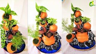 plants arrangement ideas//table top plants decoration/indoor plants decor/ORGANIC GARDEN