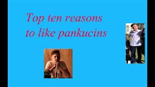 Top 10 reasons to like pankucins