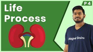 Life Process Class 10 | CBSE Biology | Excretion | Revision Series in Hindi | Magnet Brains