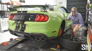 I FIXED My Shelby GT500's Suspension Problem!
