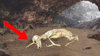 Top 10 SCARIEST Bizarre Underground Discoveries!