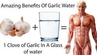 TOP 10 BENEFITS OF DRINKING GARLIC WATER