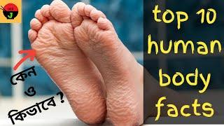 Top 10 human body facts | human body facts by Deb j