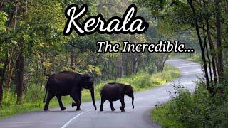 Top 10 Places To Visit In Kerala |Most Beautiful Place To Visit In Kerala |