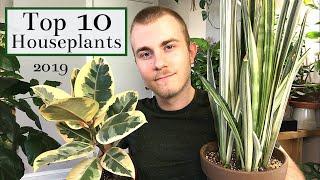 Top 10 Houseplants | 2019