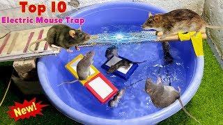 Top 10 Electric Water Mouse trap / Idea Homemade Electric Rat trap  2020 / Top 10 Electric Mice Trap