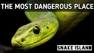 Worlds most dangerous place| top 10 amazing random facts #5